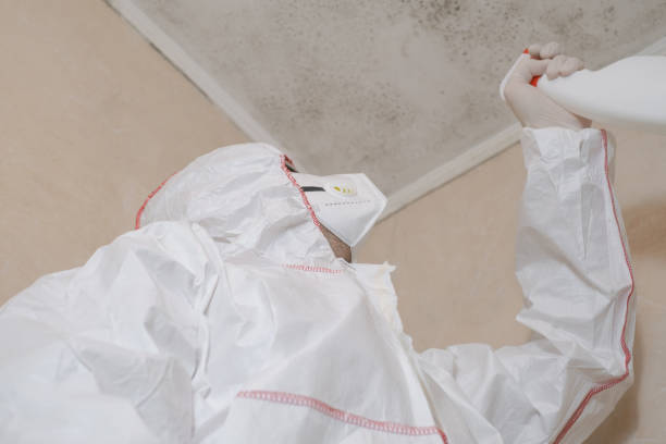 Best Industrial Mold Remediation in Lavallette, NJ